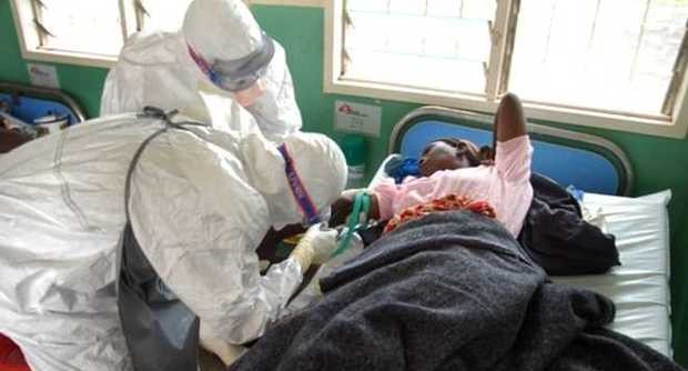 Ebola : 1229 morts et 2240 cas - ảnh 1