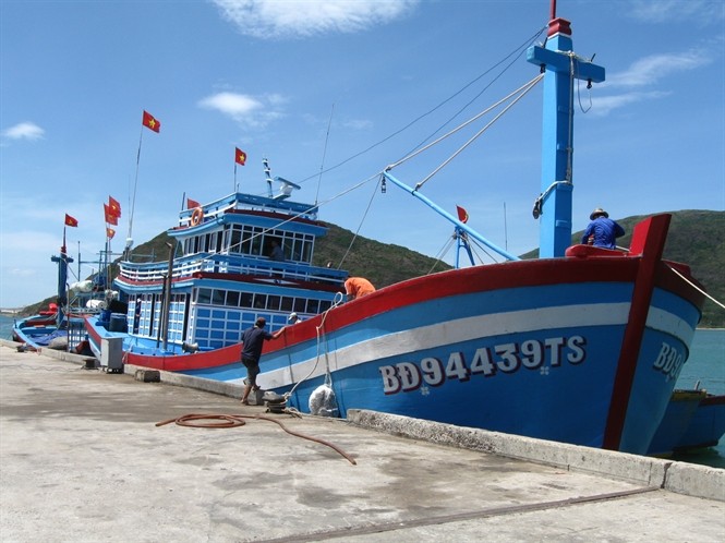 Quang Ngai : 270 pêcheurs s’inscrivent au programme de crédit à taux préférentiel - ảnh 1