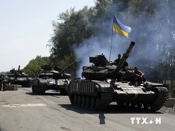 Moscou espère que la loi sur le statut du Donbass sera appliquée - ảnh 1