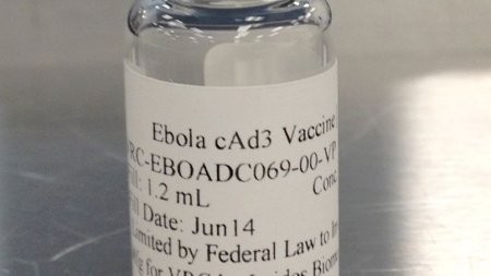 Grande-Bretagne : vaccin expérimental contre Ebola sur le corps humain - ảnh 1
