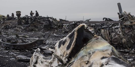 225 victimes du vol MH17 identifiées - ảnh 1
