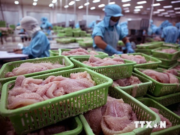 Vietnam : premier exportateur de poissons vers la Colombie - ảnh 1