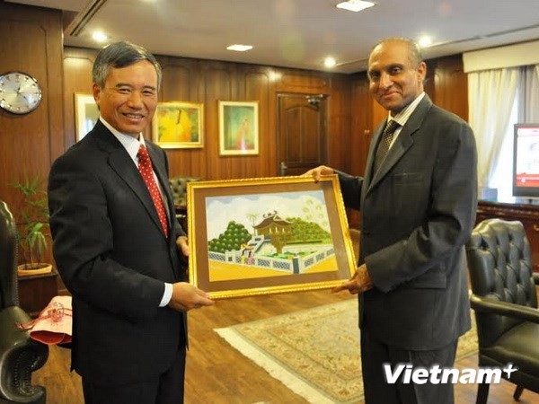 Le Pakistan apprécie la stabilité socio-politique du Vietnam  - ảnh 1