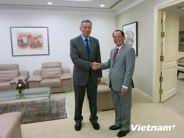 Singapour et la Malaisie renforcent leur relation avec le Vietnam  - ảnh 1