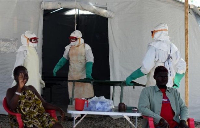 Ebola: la Sierra Leone interdit toute célébration publique pour Noël et Nouvel An - ảnh 1