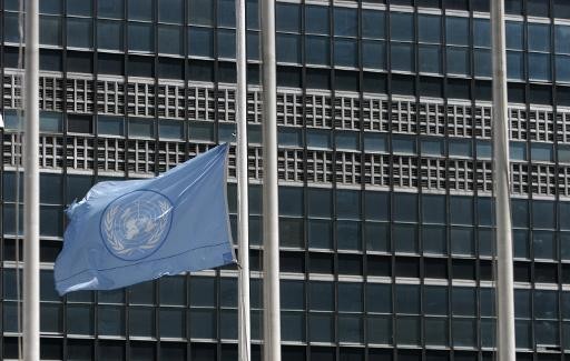 Les Palestiniens soumettront un texte mercredi à l'ONU - ảnh 1