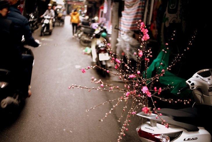 Un air printannier au cœur de Hanoi - ảnh 18