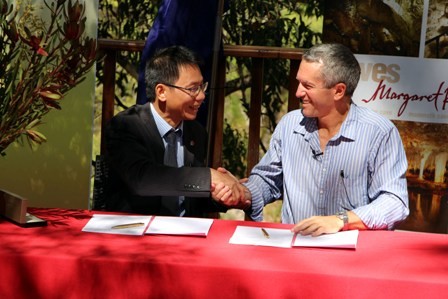 Coopération Vietnam-Australie dans le tourisme spéléologique - ảnh 1
