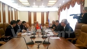 Vietnam-Russie : coopération interparlementaire renforcée  - ảnh 1