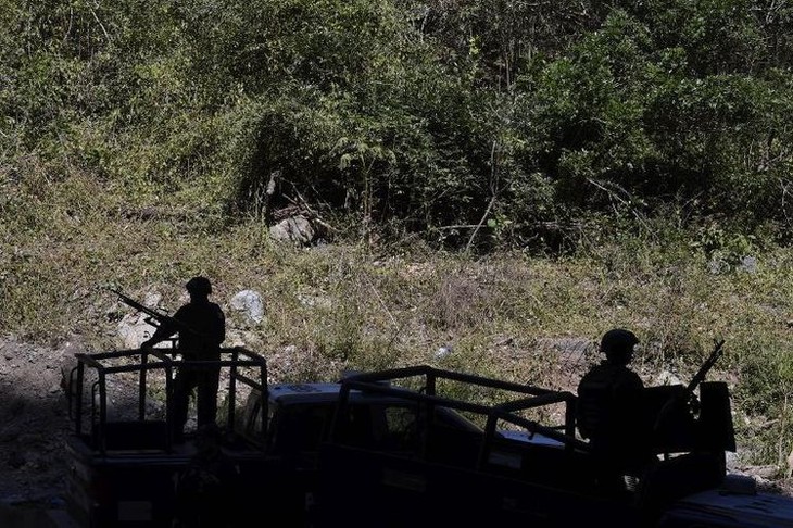 Quinze policiers tués dans une embuscade au Mexique - ảnh 1