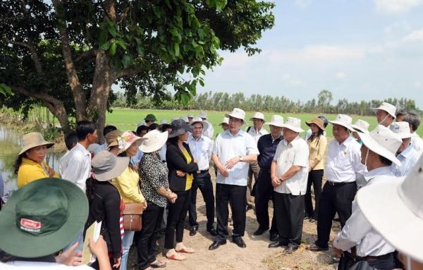 Nguyen Thien Nhan visite les modèles de coopératives - ảnh 1