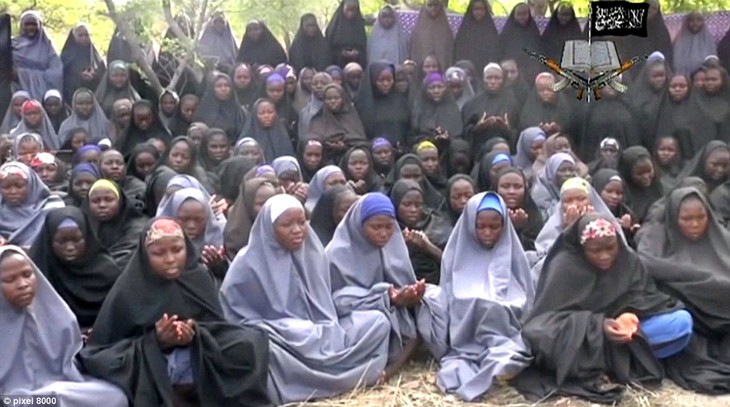 Nigeria : l'armée annonce une nouvelle libération de 234 femmes et enfants otages de Boko Haram - ảnh 1