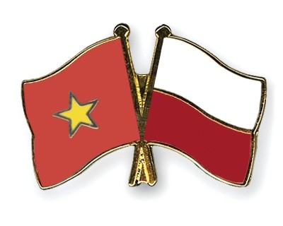 Les 65 ans des relations vietnamo-polonaises fêtés à Ho Chi Minh ville - ảnh 1