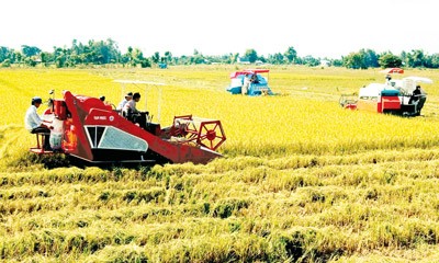 Le FTA Vietnam-République de Corée favorise l’agriculture vietnamienne - ảnh 1