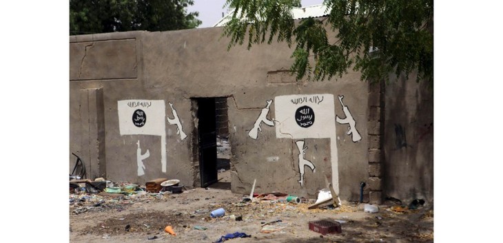 Une trentaine de personnes tuées par Boko Haram au Niger  - ảnh 1