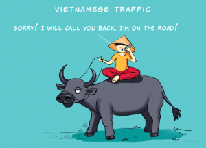 Le vrai Vietnam, par Thibaut Croquevielle - ảnh 5