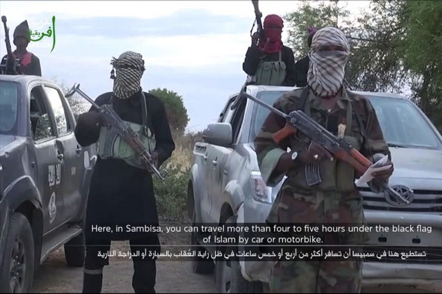Nigeria: nouvelle attaque de Boko Haram, des dizaines de morts - ảnh 1