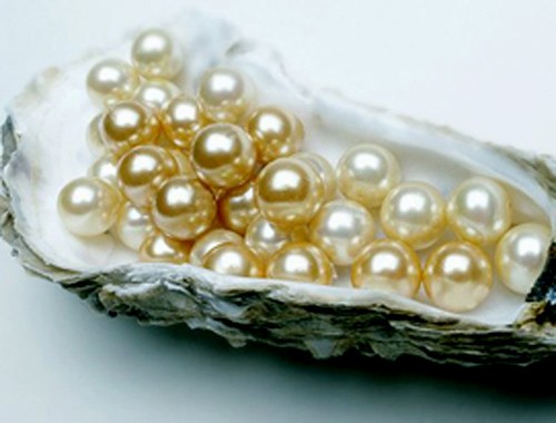 Les perles de Phu Quoc - ảnh 2