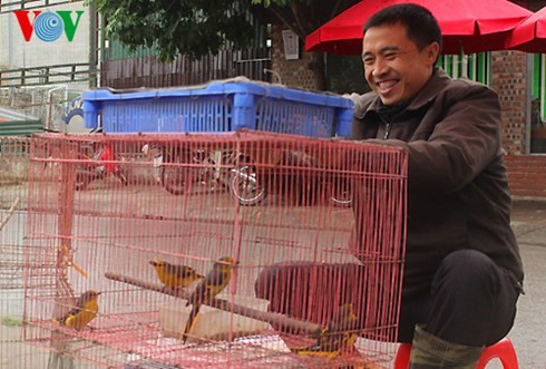 Yên Phúc-Le marché aux oiseaux d’agrément à Hanoï  - ảnh 3