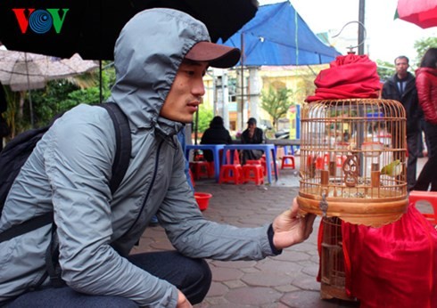 Yên Phúc-Le marché aux oiseaux d’agrément à Hanoï  - ảnh 12