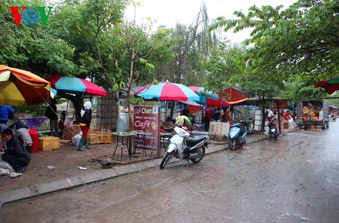 Yên Phúc-Le marché aux oiseaux d’agrément à Hanoï  - ảnh 1