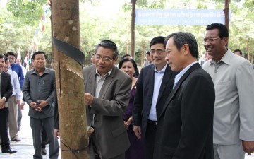 Les entreprises vietnamiennes de caoutchouc fonctionnent bien au Cambodge - ảnh 2