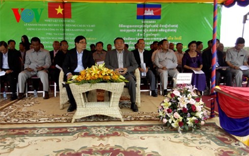 Les entreprises vietnamiennes de caoutchouc fonctionnent bien au Cambodge - ảnh 1