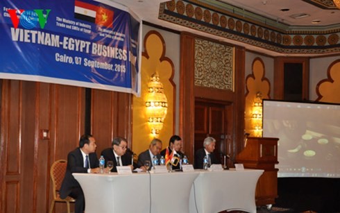 Le forum d’affaires Vietnam – Egypte - ảnh 1