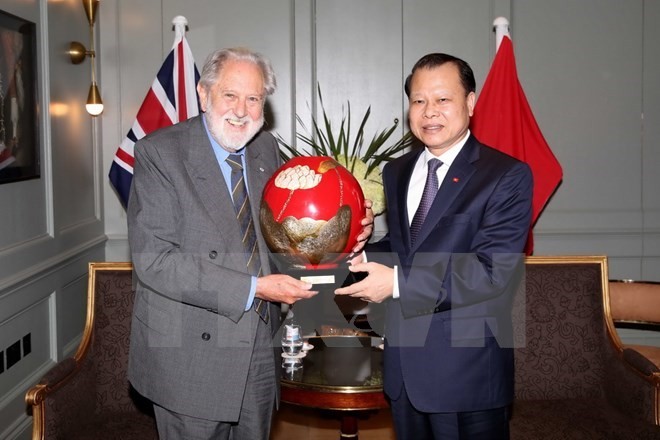 Dynamiser le partenariat vietnamo-britannique - ảnh 1