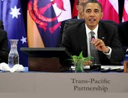 Obama: l'accord de libre-échange trans-pacifique peut aboutir cette année - ảnh 1