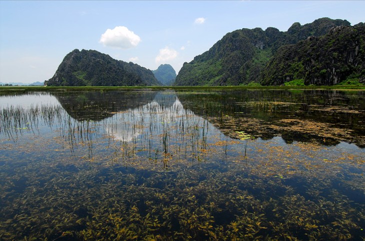 Vous avez dit parcs nationaux vietnamiens ? - ảnh 6