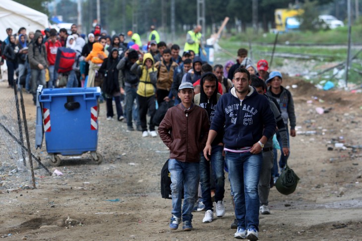 Ankara propose des solutions pour résoudre la crise migratoire - ảnh 1
