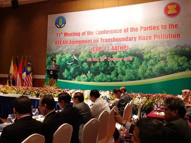 L’ASEAN lutte contre les incendies de forêt et les fumées - ảnh 1