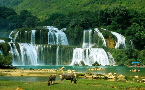 Bản Giốc : une des 15 chutes d’eau les plus impressionnantes du monde - ảnh 1