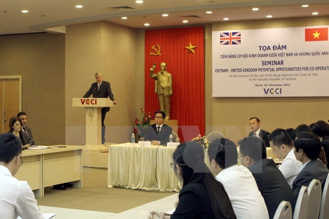 Potentiels de la coopération dans les affaires Vietnam-Royaume-Uni - ảnh 1