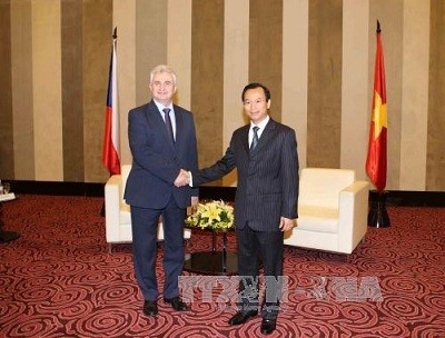 Quang Nam et Da Nang souhaitent intensifier la coopération avec la R.tchèque - ảnh 1