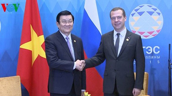 Entrevue Truong Tan Sang - Dmitri Medvedev - ảnh 1