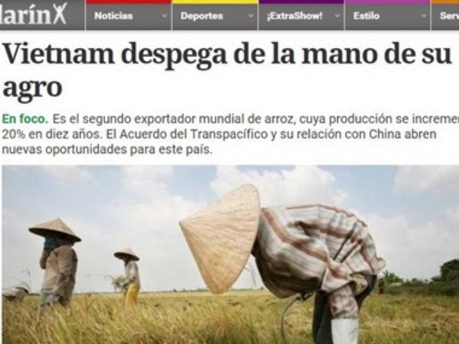 Le journal argentin Clarin salue les acquis agricoles du Vietnam - ảnh 1