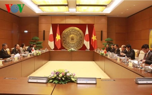 Dynamiser la coopération Vietnam - Japon  - ảnh 2