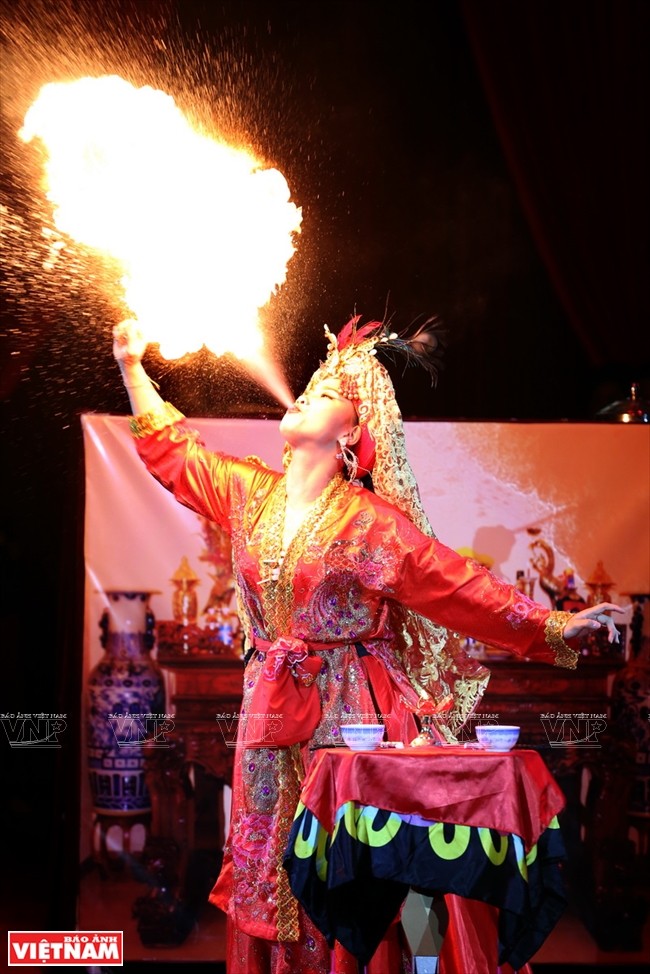 Concours de talents du cirque Vietnam-Laos-Cambodge - ảnh 2