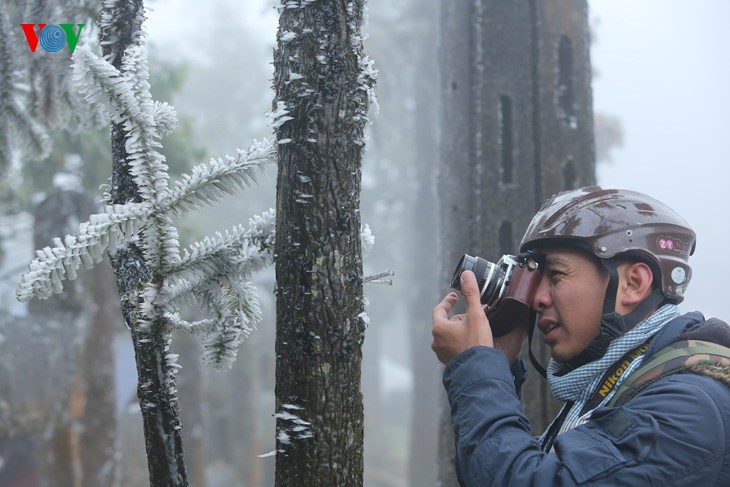 Les touristes se font prendre en photo sur fond de gelée blanche à Sa Pa - ảnh 4