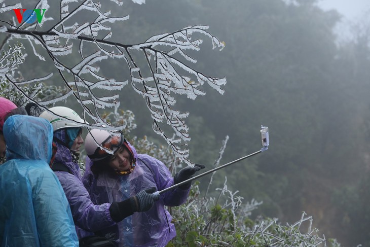 Les touristes se font prendre en photo sur fond de gelée blanche à Sa Pa - ảnh 5