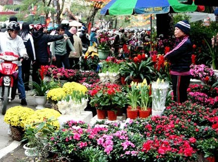 Hanoi accueille le printemps dans l’effervescence - ảnh 3