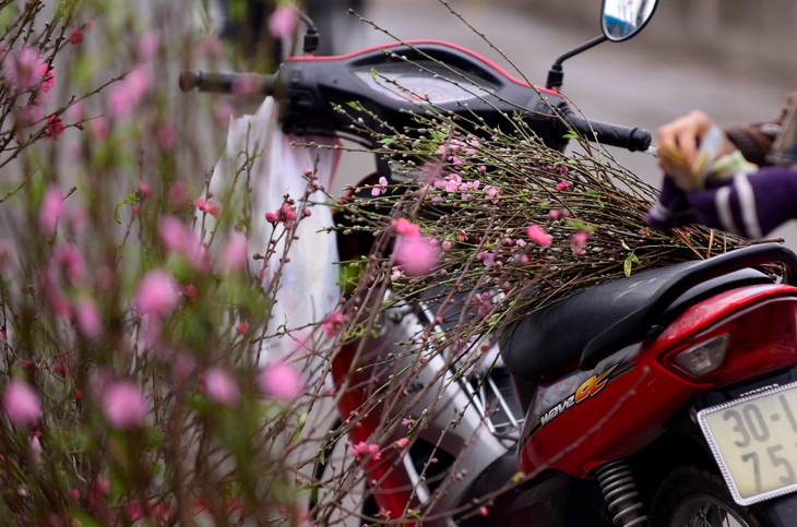 Hanoi accueille le printemps dans l’effervescence - ảnh 4