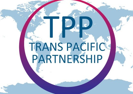 TPP : opportunités, enjeux et actions du Vietnam - ảnh 1