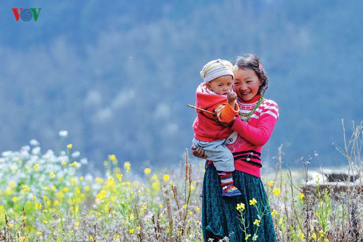 Le printemps est revenu à Lung Cu, à l’extrême-nord du Vietnam - ảnh 7