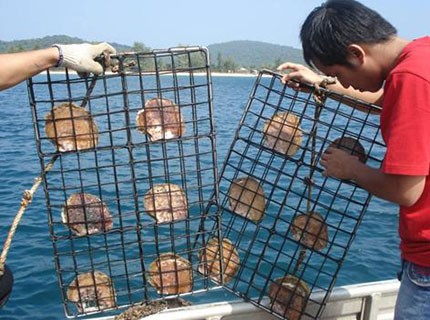 Le Bangladesh veut coopérer avec le Vietnam dans l’aquaculture - ảnh 1