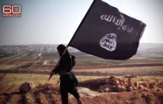 Pentagone : Face à Daesh, «notre rapport de force n’a jamais été aussi avantageux» - ảnh 1
