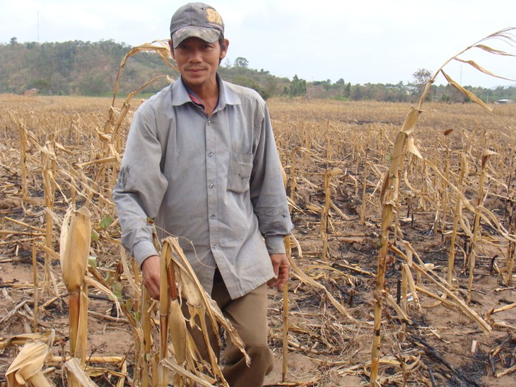 Plusieurs ONG aident le Vietnam à lutter contre la sécheresse et la salinisation - ảnh 1