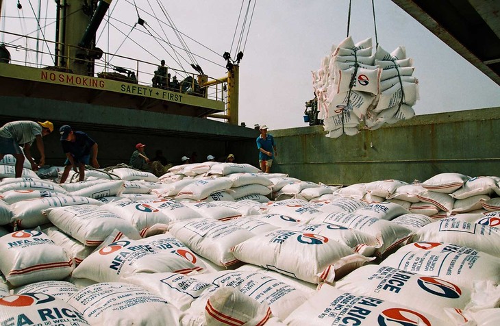 Le Vietnam cherche à doper ses exportations de riz de haute qualité - ảnh 1